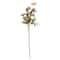 Cream Peony Stem by Ashland®